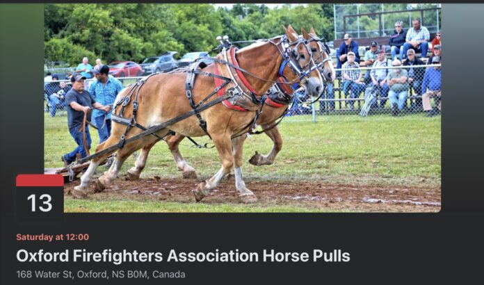 Oxford Firefighters Association 2026 Horse Pulls