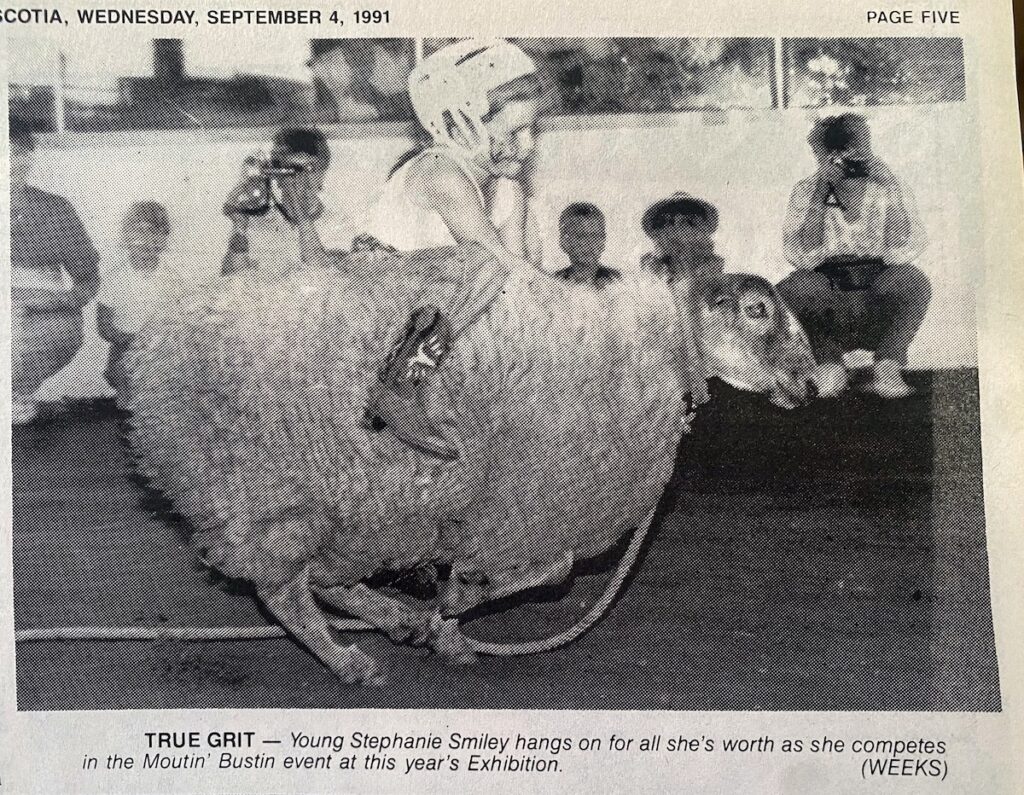 True Grit: Young Stephanie Smiley hangs on for all she's worth as she competes in the Mountin' Bustin event at this year's Exhibition. Photo: Charlie Weeks. Oxford Journal, Wednesday, September 4, 1991.